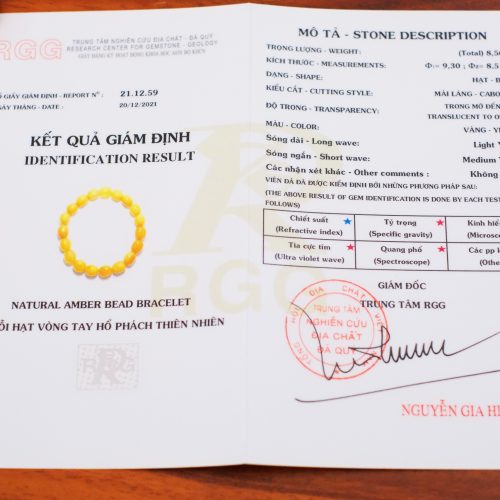 10 Ly Oliu Vàng