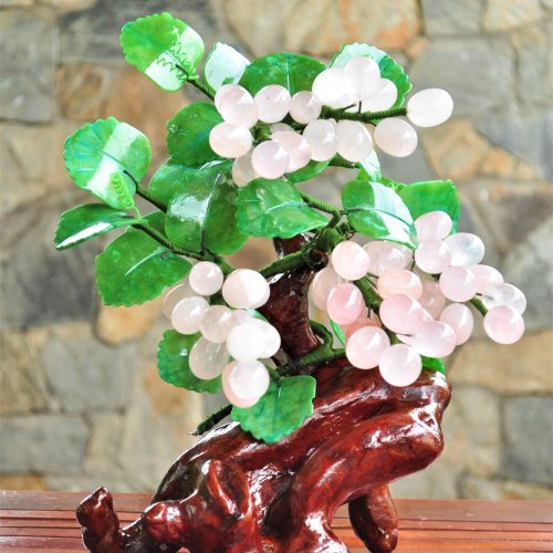 cây nho thạch anh hồng