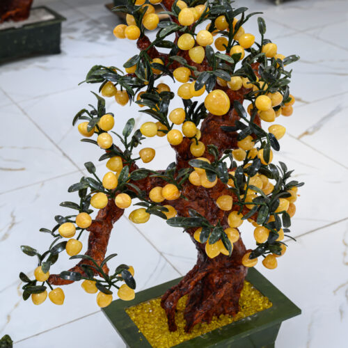 Cây đào phong thủy tài lộc ngọc hoàng long
