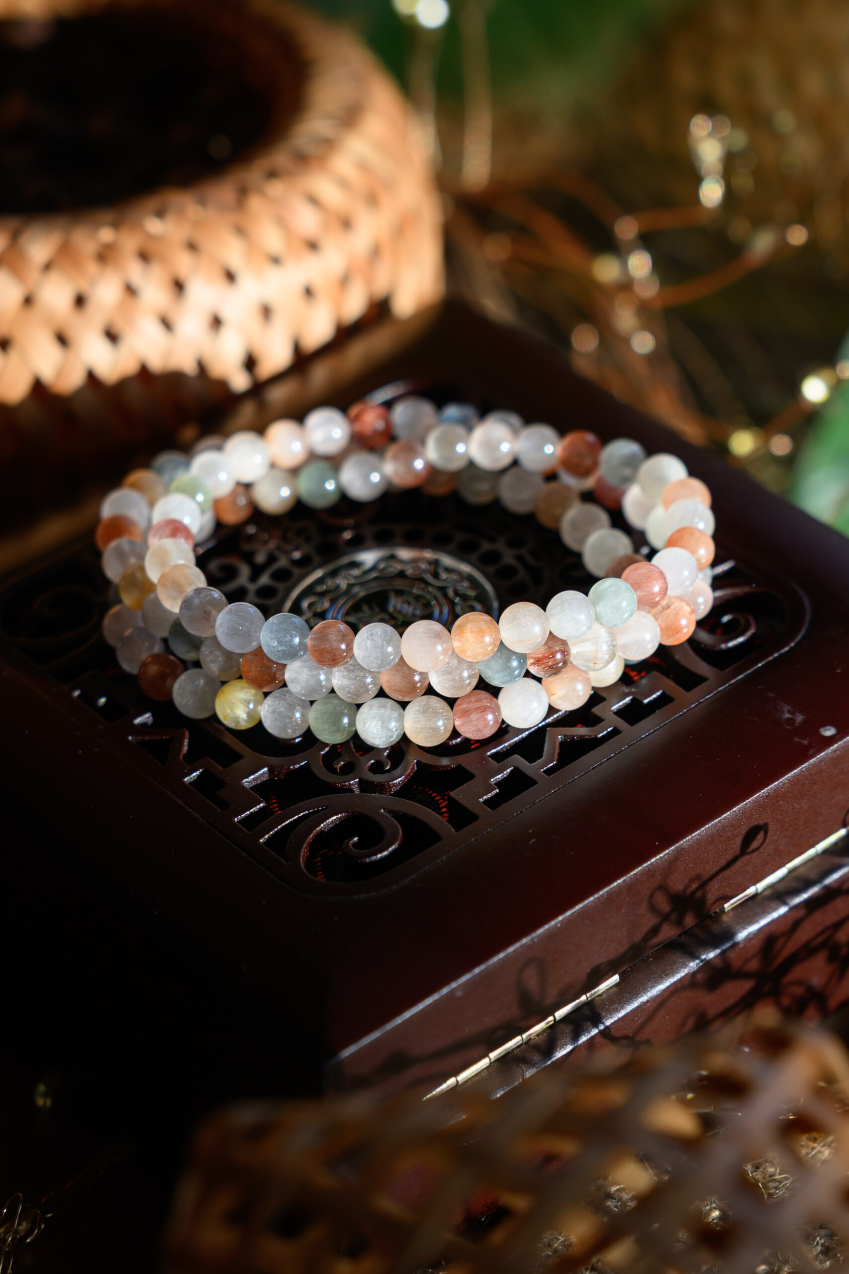 20260902-dsc_9561 20260902-dsc_9561